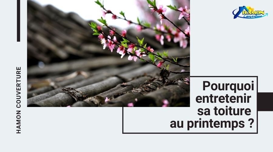 Pourquoi entretenir sa toiture au printemps